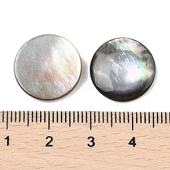 Natural Black Lip Shell Cabochons&nbsp;SSHEL-I026-20D