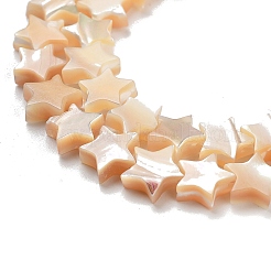 Star Natural White Shell Beads Strands&nbsp;BSHE-Q025-14B