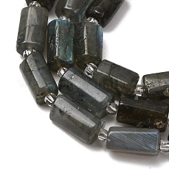 Natural Labradorite Beads Strands&nbsp;G-F836-B06-02