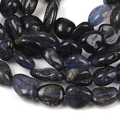 Natural Iolite Beads Strands&nbsp;G-C271-01