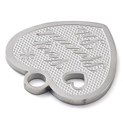 Anti-Tarnish 304 Stainless Steel Pendants&nbsp;LS-STAS-M076-01P