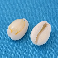 Natural Cowrie Shell Pendants&nbsp;BSHE-Q297-3