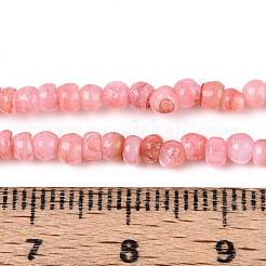 Natural Freshwater Shell Dyed Beads Strands&nbsp;SHEL-T020-29B-06
