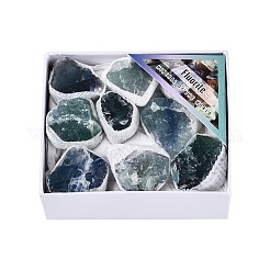 天然蛍石ジオード 豊穣の角 鉱物標本  生水晶クラスター  癒しのクリスタルホームデコレーションギフト  紙箱付き  25~46x15~35x8~32mm&nbsp;G-N360-04A