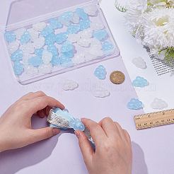 50Pcs 2 Colors Transparent Resin Cabochons&nbsp;RESI-WR0001-15