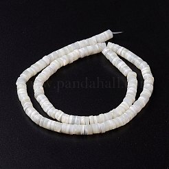 Natural Trochid Shell/Trochus Shell Beads Strands&nbsp;SHEL-P015-12