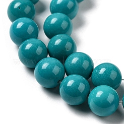 Natural Howlite Beads Strands&nbsp;G-B049-E01-01C