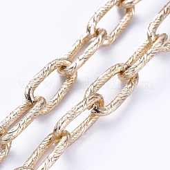Aluminum Paperclip Chains Glasses Neck Cord&nbsp;AJEW-EH00027-01