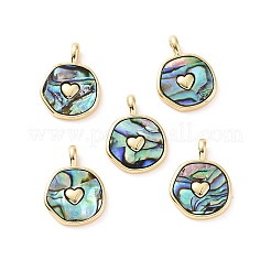 Natural Abalone Shell/Paua Shell Pendants&nbsp;KK-C004-11G-02