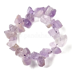 Natural Amethyst Beads Strands&nbsp;G-S386-B05