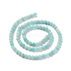 Natural Amazonite Round Beads Strands&nbsp;X-G-A025-01A