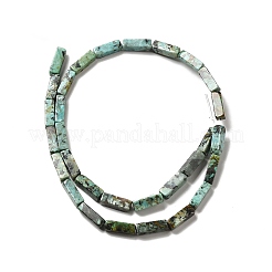 Natural African Turquoise(Jasper) Beads Strands&nbsp;G-F729-01