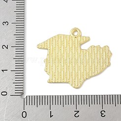 School Supplies Alloy Enamel Pandants&nbsp;FIND-M083-03G-G