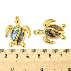 Natural Paua Shell Pendants&nbsp;X-STAS-P341-02G-01