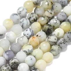 Natural White African Opal Beads Strands&nbsp;G-B165-A12-6mm