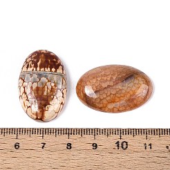 Dyed Natural Fire Agate Cabochons&nbsp;G-Q957-02B-20x30