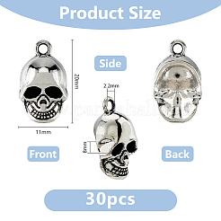 30Pcs Tibetan Style Alloy Pendants&nbsp;FIND-DC0006-15