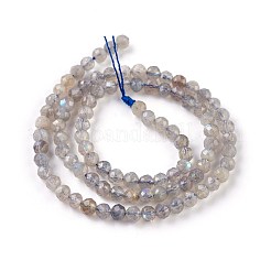 Natural Labradorite Beads Strands&nbsp;G-O176-04A