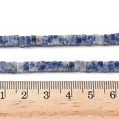 Natural Blue Spot Jasper Beads Strands&nbsp;G-I394-A08