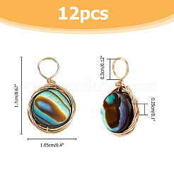 12Pcs Natural Abalone Shell/Paua Shell Pendants&nbsp;SHEL-FI0001-01