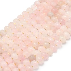 Natural Rose Quartz Beads Strands&nbsp;G-P573-B16-01