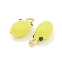 304 Stainless Steel Enamel Pendants&nbsp;STAS-D384-04D-G