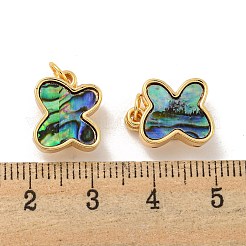 真鍮製マグネットクラスプ  カドミウムフリー＆ニッケルフリー＆鉛フリー  ジャンプリングとパウア貝付き  蝶  18KGP本金メッキ  14x11x5.5mm  穴：3mm&nbsp;KK-A214-06G