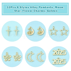 12本6スタイルアロイペンダント  ムーン  スター  花のチャーム  ゴールドカラー  12.5~24.5x9~22x2~5mm  穴：1~2.5mm  2個/スタイル&nbsp;FIND-FS0003-38G