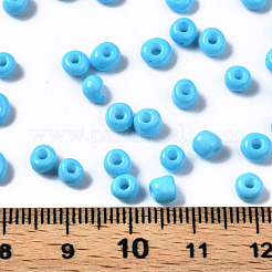 6/0 Glass Seed Beads&nbsp;SEED-S058-A-F298