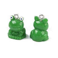 Opaque Resin Pendants&nbsp;RESI-A051-01P