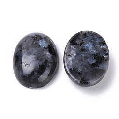 Natural Larvikite Cabochons&nbsp;G-T062-19
