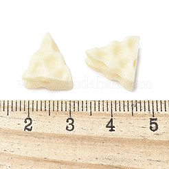 天然タグアビーズジュエリー  チーズ  ナットビーズ  古いレース  12.5x8x13mm  穴：2mm&nbsp;WOOD-V001-06