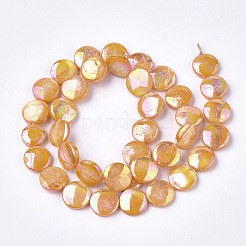 Freshwater Shell Beads Strands&nbsp;LS-SHEL-S274-52D