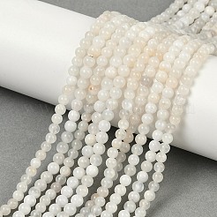 Natural White Moonstone Beads Strands&nbsp;X-G-D294-4mm-02