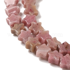 Natural Rhodonite Beads Strands&nbsp;G-G085-B34-02