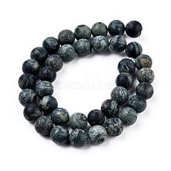 Frosted Natural Kambaba Jasper Beads Strands&nbsp;G-M272-14-6mm