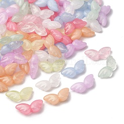 Luminous Transparent Acrylic Beads&nbsp;LACR-S001-08