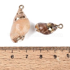 電気メッキナチュラルスパイラルシェルペンダント  金色の鉄製ループと真鍮製の縁取りが施された、巻貝のチャーム。  パパイヤホイップ  パパイヤホイップ  18~28x9~15.5x7.5~13.5mm  穴：1.4~1.8mm&nbsp;SSHEL-Q100-32G