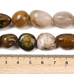 Natural Pietersite Beads Strands&nbsp;G-A286-A01-04