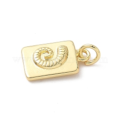 Brass Pendants&nbsp;KK-L239-055G-01