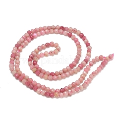 Natural Rhodonite Beads Strands&nbsp;G-P553-G06-01
