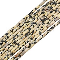 Natural Dalmatian Jasper Beads Strands&nbsp;GG-CBAED3F-A04