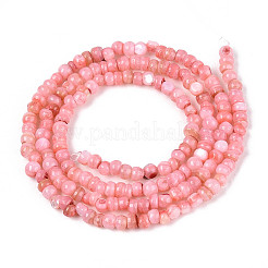 Natural Freshwater Shell Dyed Beads Strands&nbsp;SHEL-T020-29B-06