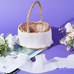 5M Polyester Ruffled Trimming&nbsp;DIY-GF0007-87B