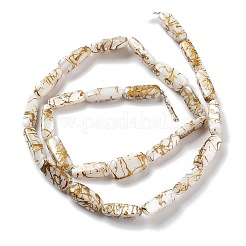 Natural Freshwater Shell Dyed Beads Strands&nbsp;SHEL-D082-18B