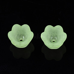 Transparent Acrylic Beads&nbsp;FACR-N005-001