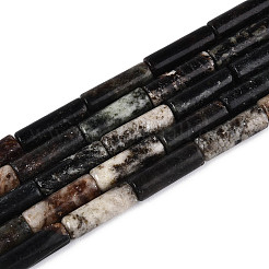 Natural Biotite Beads Strands&nbsp;G-T141-74