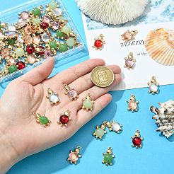 60 個 6 色のアクリル合金ペンダント  ゴールド  カメ  ミックスカラー  22x13.5x6.5~6.8mm  穴：1.6mm  10個/カラー&nbsp;FIND-CJ0003-81