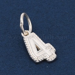 Number Series 925 Sterling Silver Charms&nbsp;LS-STER-Q002-01E
