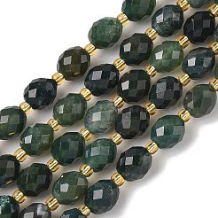 Natural Moss Agate Beads Strands&nbsp;G-F809-A29-01